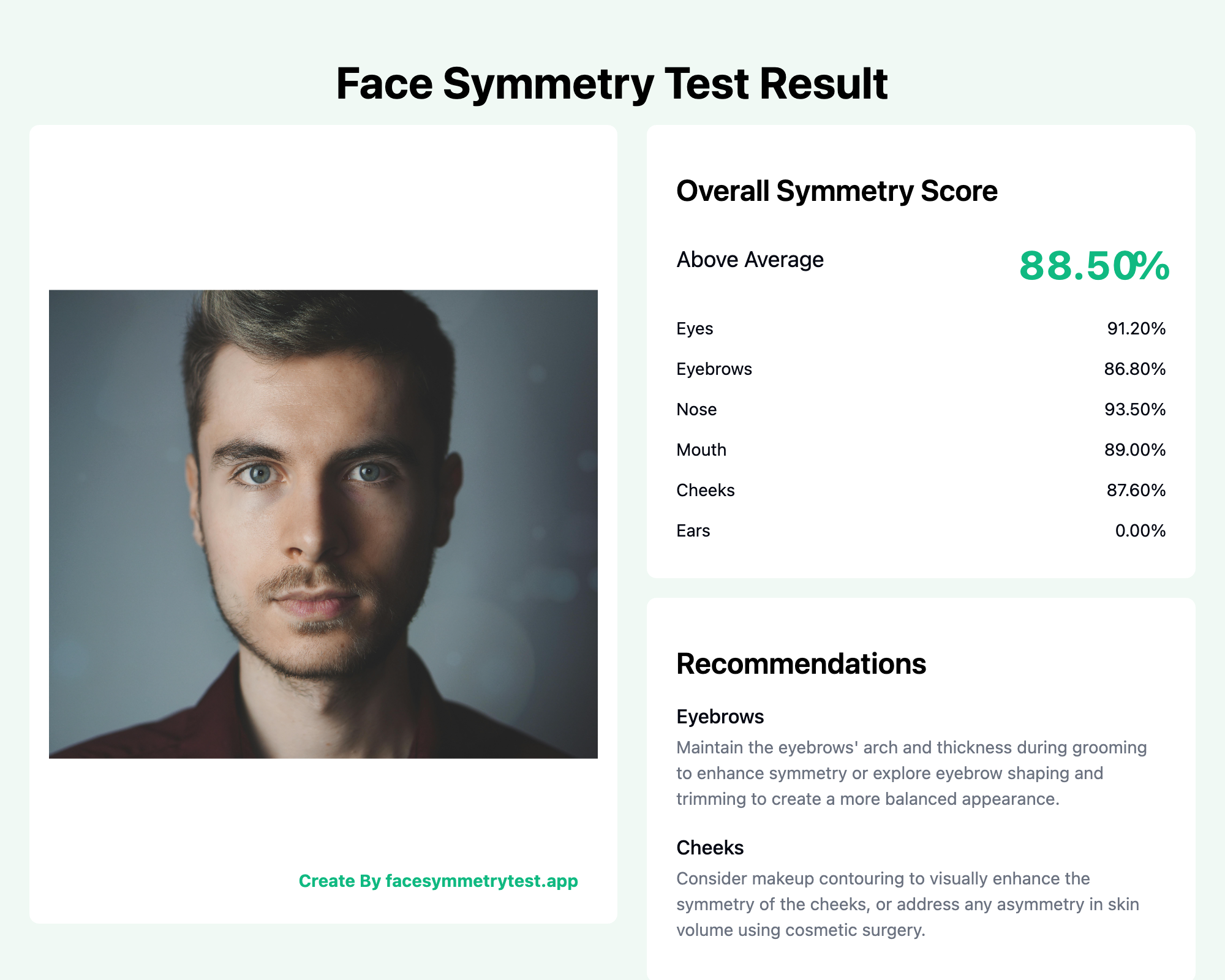Face symmetry analysis result showing detailed measurements